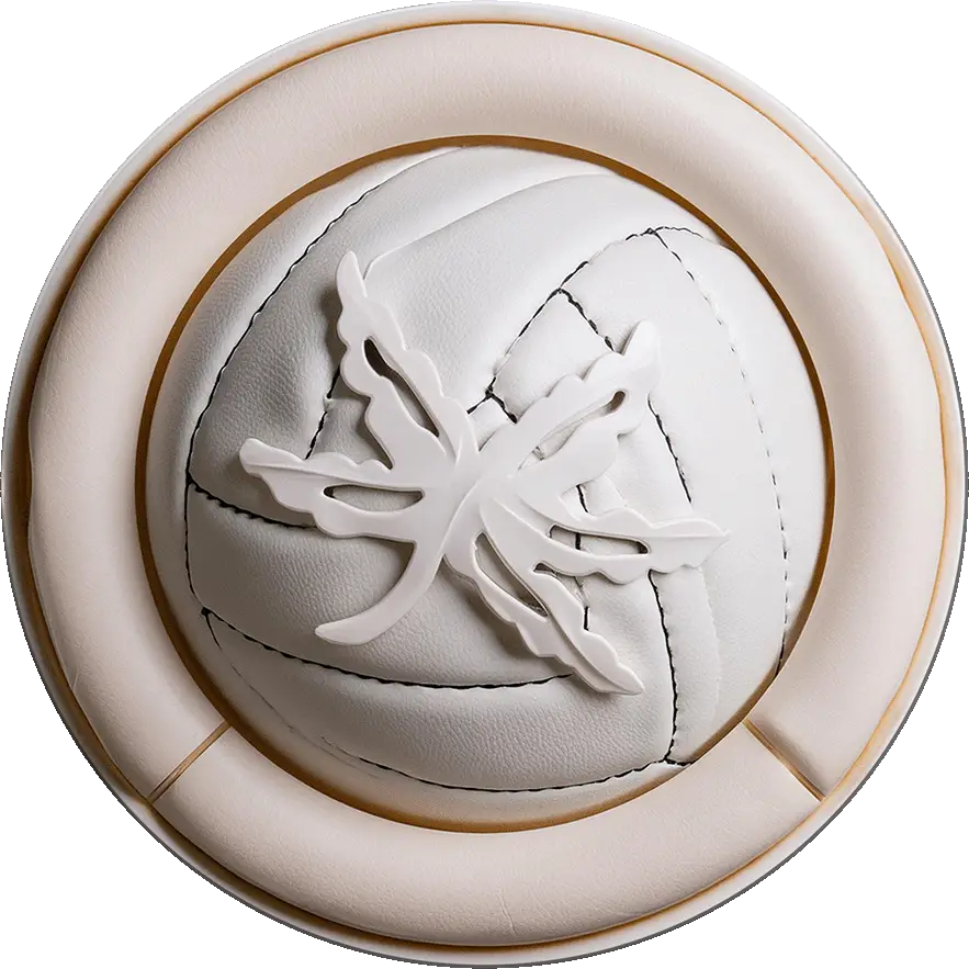 Layer 13OSU Badge He